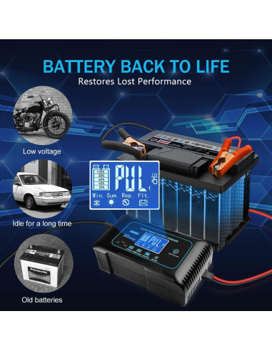 Cargador de Batería Haisito EF-20 20A 12V/24V Litio/Plomo