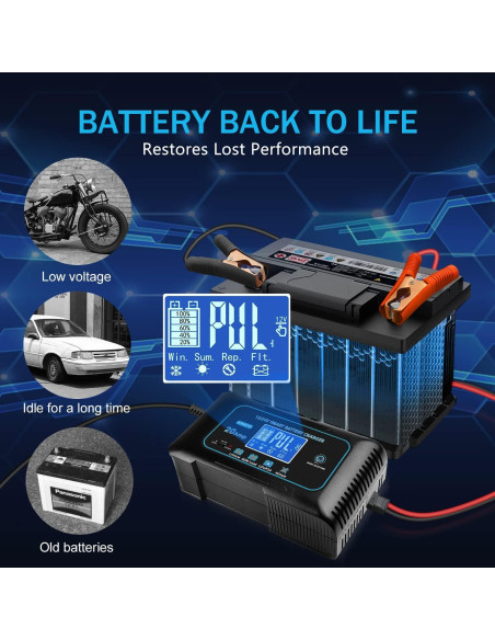 Cargador de Batería Haisito EF-20 20A 12V/24V Litio/Plomo