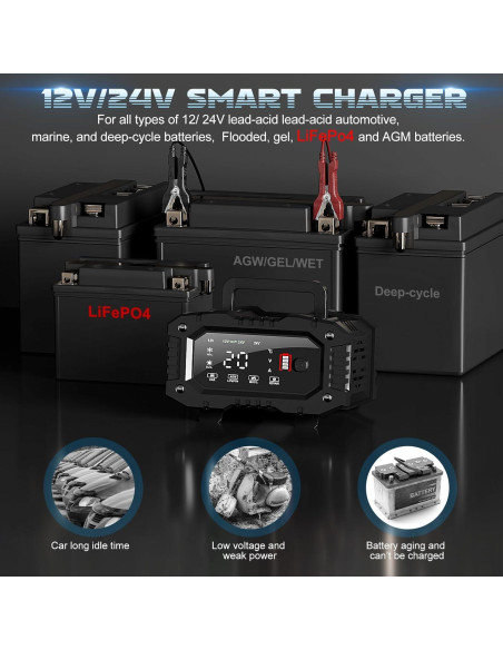 Cargador de Batería ABLY 20A 12V/24V Automático con LCD