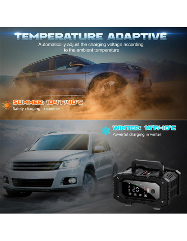 Cargador de Batería ABLY 20A 12V/24V Automático con LCD