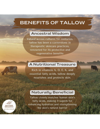 Bálsamo Labial Untamed Organics | 100% Sebo Puro y Cera Orgánica | Hidratante para Labios Secos | Paquete de 4