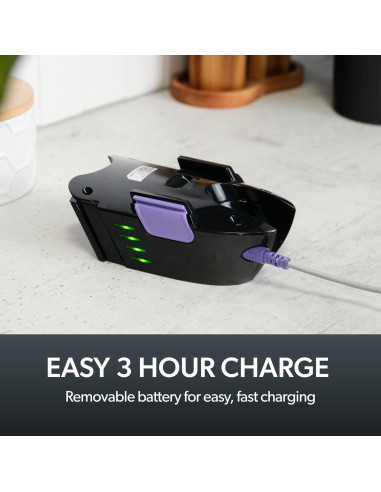 Aspiradora de Mano Gtech Multi Platinum - 30 Minutos Inalámbrica