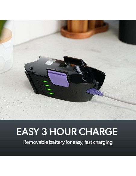 Aspiradora de Mano Gtech Multi Platinum - 30 Minutos Inalámbrica