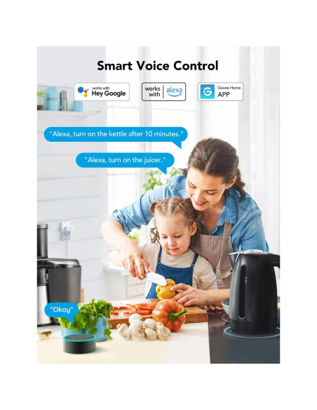 Enchufe Inteligente Doble Govee H5082 15A WiFi Bluetooth