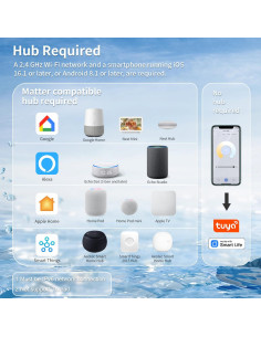 Enchufe Inteligente FARYLINK Mini 10A 1200W WiFi Matter 2