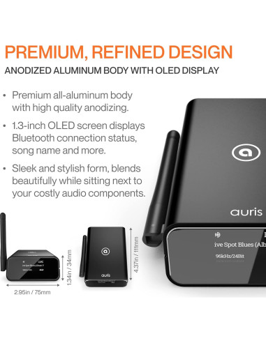 Receptor Bluetooth Auris bluMe Pro HiFi DAC 32bit 240g