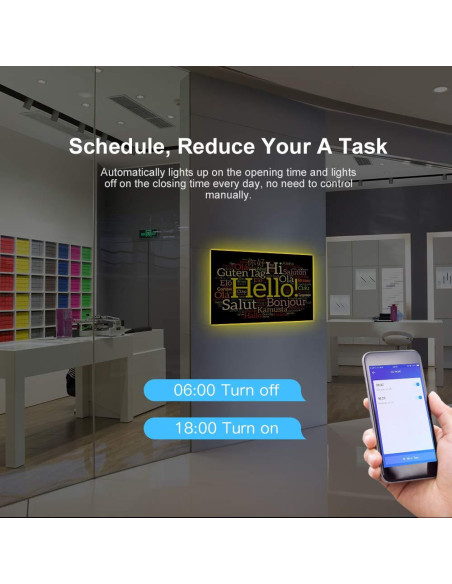 SONOFF Adaptador Smart WiFi Micro USB 5V 2-Pack Interruptor