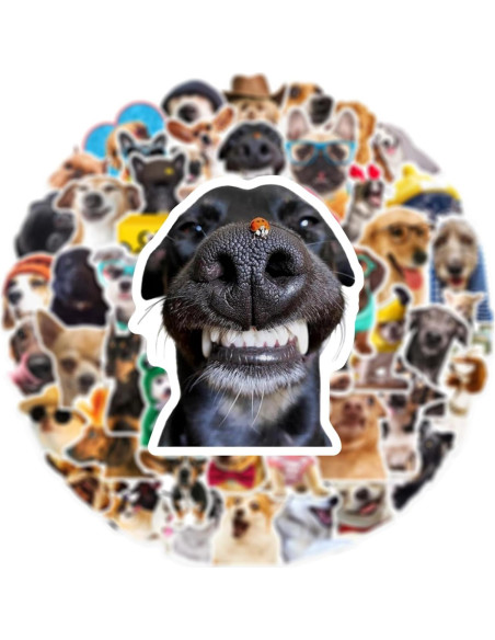 50 Pegatinas Divertidas de Perro Aigemumy Impermeables
