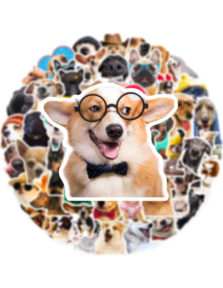 50 Pegatinas Divertidas de Perro Aigemumy Impermeables