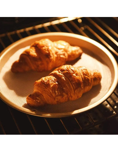 10 Hojas Redondas de Silicona Arcemain para Deshidratador