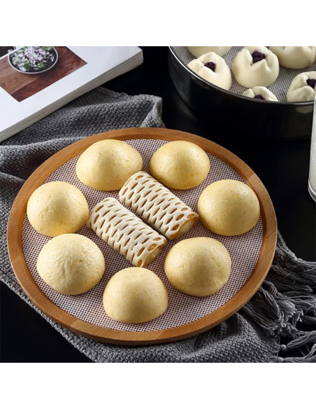 10 Hojas Redondas de Silicona Arcemain para Deshidratador