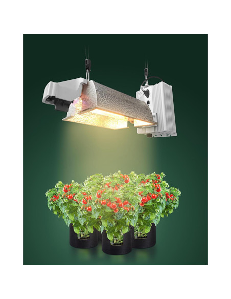 Paquete de 4 Soportes Ajustables STAYGROW para Amarre