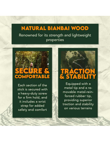 Bastón Desmontable SE 3 Piezas 139.7 cm Madera Pino