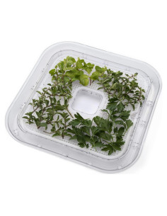 Pantallas de Malla Antiadherente Presto 06311 - Paquete de 2