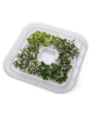 Pantallas de Malla Antiadherente Presto 06311 - Paquete de 2