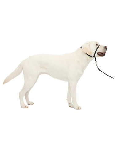 Collar de Cabeza PetSafe Gentle Leader No-Tirones Grande Negro