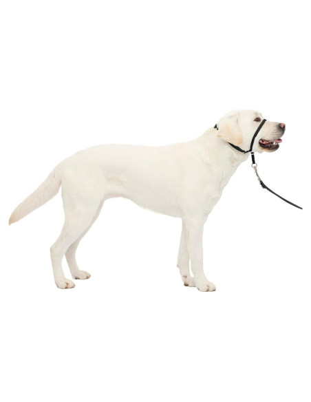 Collar de Cabeza PetSafe Gentle Leader No-Tirones Grande Negro
