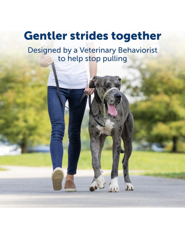 Collar de Cabeza PetSafe Gentle Leader No-Tirones Grande Negro