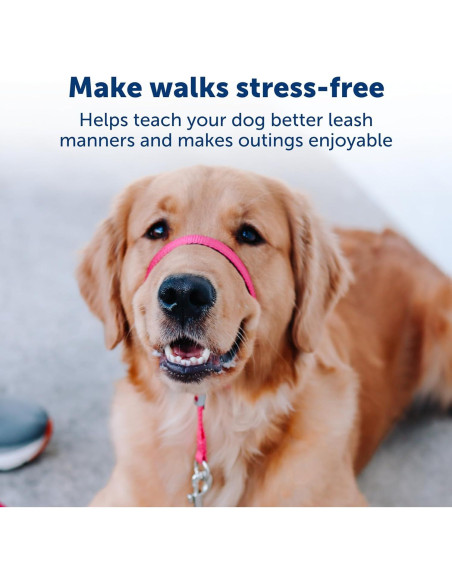 Collar de Cabeza PetSafe Gentle Leader No-Tirones Grande Negro