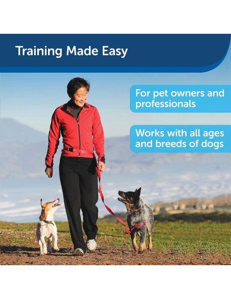 Treat&Train Entrenador Remoto para Perros con Dispensador