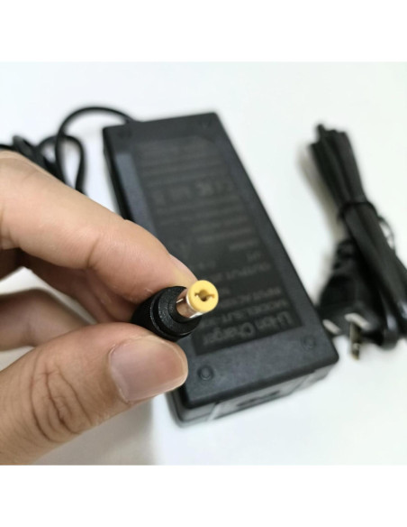 Cargador Rápido HERISKEER 29.4V para Scooter 25.2V/24V Cargador Rápido HERISKEER 29.4V para Scooter 25.2V/24V