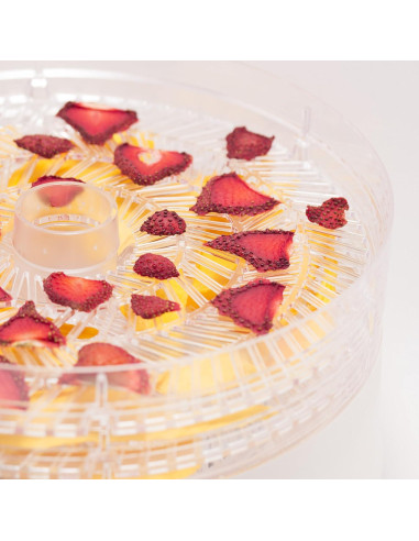 Deshidratador de Alimentos Commercial Chef 280W 5 Estantes
