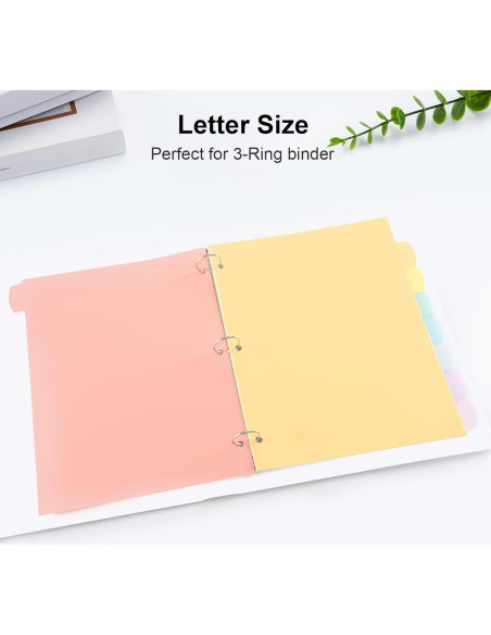 Separadores de Carpeta Escriba y Borra LRFWJS 24 Pestañas