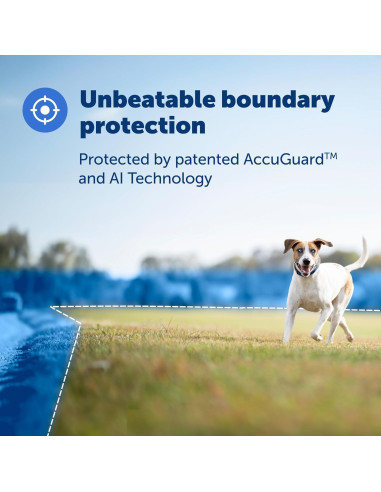 Collar GPS para Perros PetSafe Guardian + Cerca Invisible