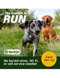Collar GPS SpotOn para Perros Grande, Impermeable y Preciso 2