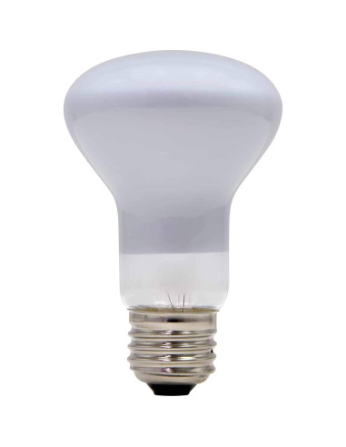 Bombilla Incandescente Lava 100W para Lámpara Grande 68,58cm