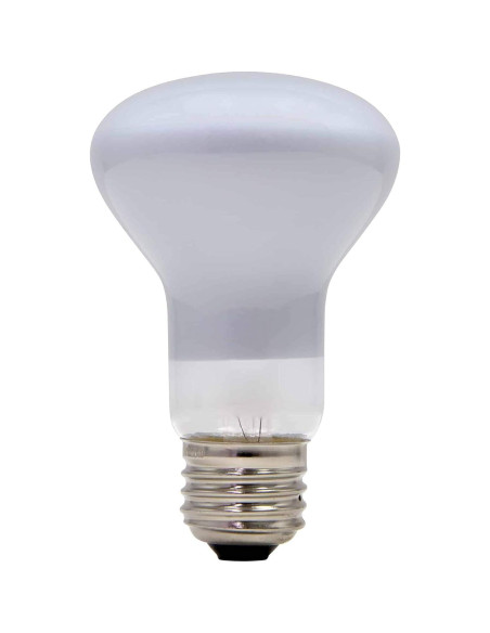 Bombilla Incandescente Lava 100W para Lámpara Grande 68,58cm