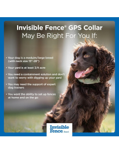 Collar GPS Invisible Fence para Perros Medianos y Grandes 2