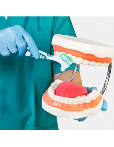 Juego de 2 Cepillos de Limpieza de Dentaduras YUXIANLB