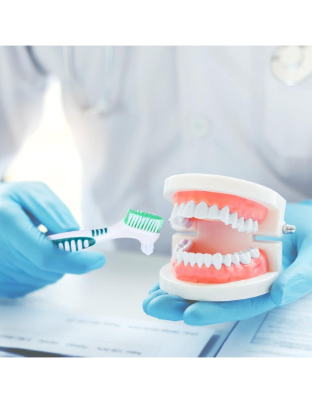 Juego de 2 Cepillos de Limpieza de Dentaduras YUXIANLB