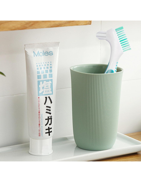 Juego de 6 Cepillos para Dentaduras TaShow DENTURE BRUSH-1