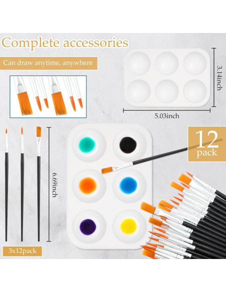 Ctosree Set de 12 Lienzos Pre Dibujados para Pintura