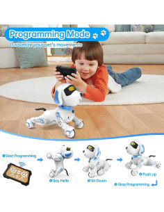Perro Robot Dwi Dowellin Y878 Interactivo para Niños 8-12 Años 2