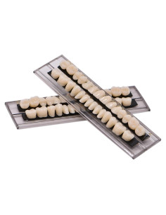 Kit de Dientes Falsos de Resina Acrílica Angzhili 28 Pcs