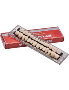 Kit de Dientes Falsos de Resina Acrílica Angzhili 28 Pcs 2