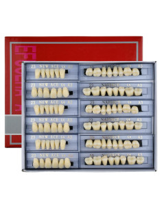168 Piezas Dientes Falsos ZXYZZ Resina Sintética Halloween