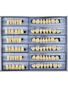 168 Piezas Dientes Falsos ZXYZZ Resina Sintética Halloween 2