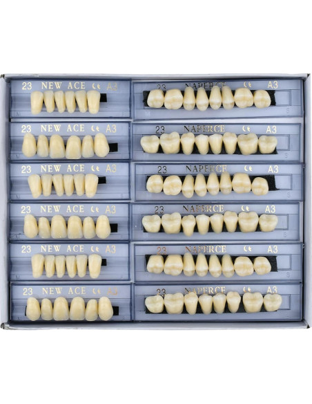 168 Piezas Dientes Falsos ZXYZZ Resina Sintética Halloween