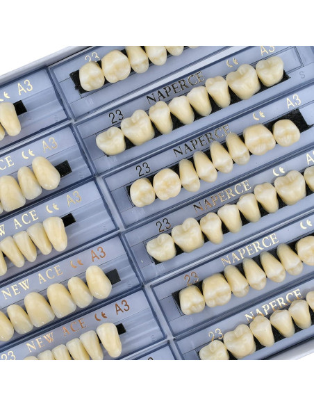 168 Piezas Dientes Falsos ZXYZZ Resina Sintética Halloween