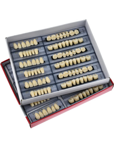 168 Piezas Dientes Falsos ZXYZZ Resina Sintética Halloween