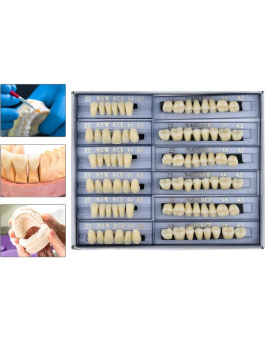 168 Piezas Dientes Falsos ZXYZZ Resina Sintética Halloween