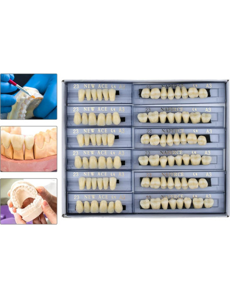 168 Piezas Dientes Falsos ZXYZZ Resina Sintética Halloween