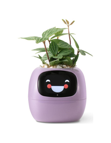 Maceta Inteligente PLANTSIO Ivy con Riego Automático