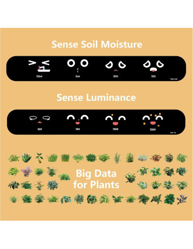 Maceta Inteligente PLANTSIO Ivy con Riego Automático