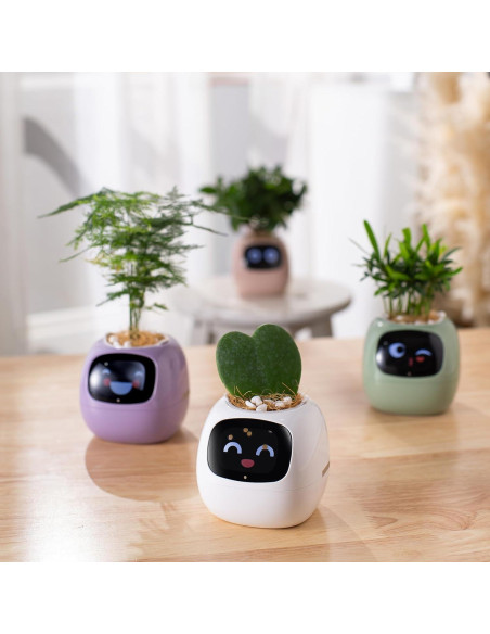 Maceta Inteligente PLANTSIO Ivy con Riego Automático