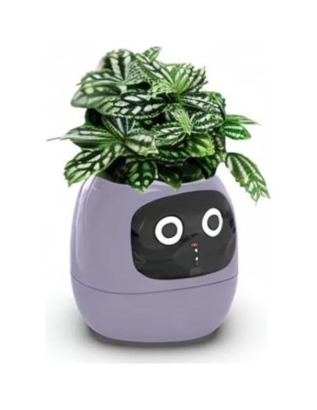 Maceta Inteligente PLANTSIO Ivy con Riego Automático